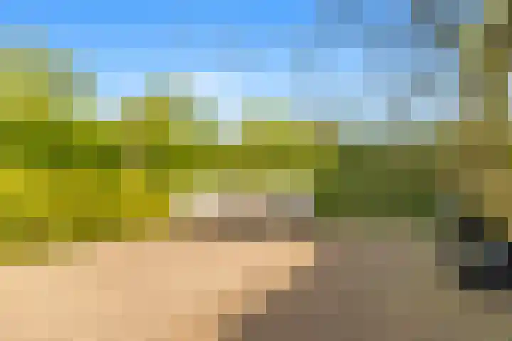 Roelat 46 Limmen thumbnail 17