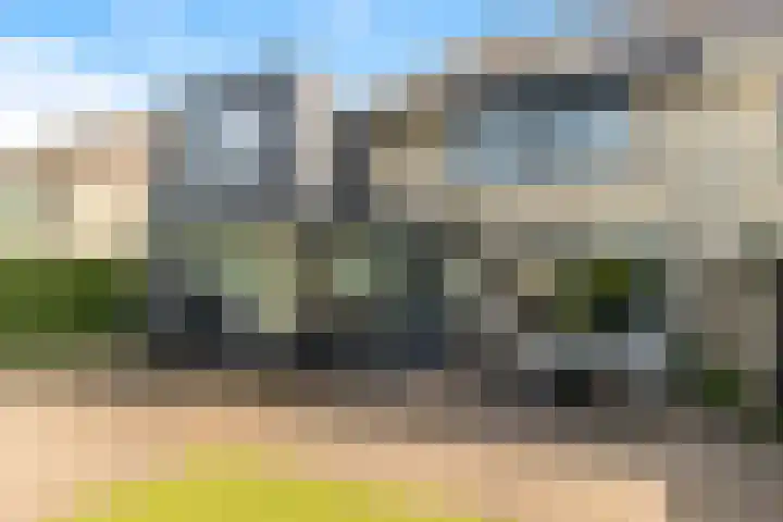 Roelat 46 Limmen thumbnail 18