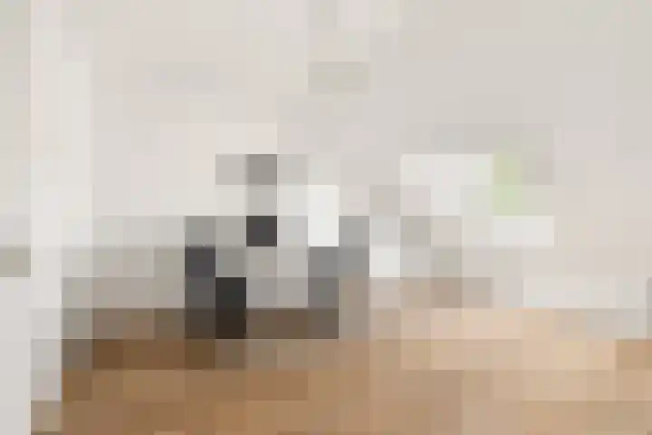 Roelat 46 Limmen thumbnail 36