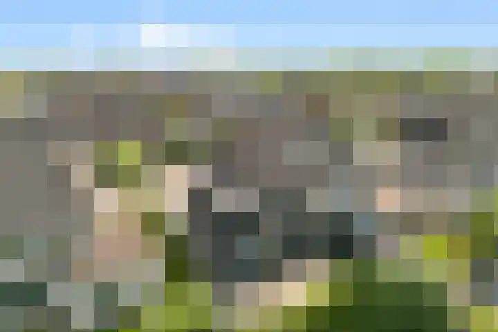 Roelat 46 Limmen thumbnail 38