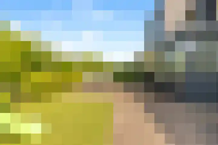 Roelat 46 Limmen thumbnail 39