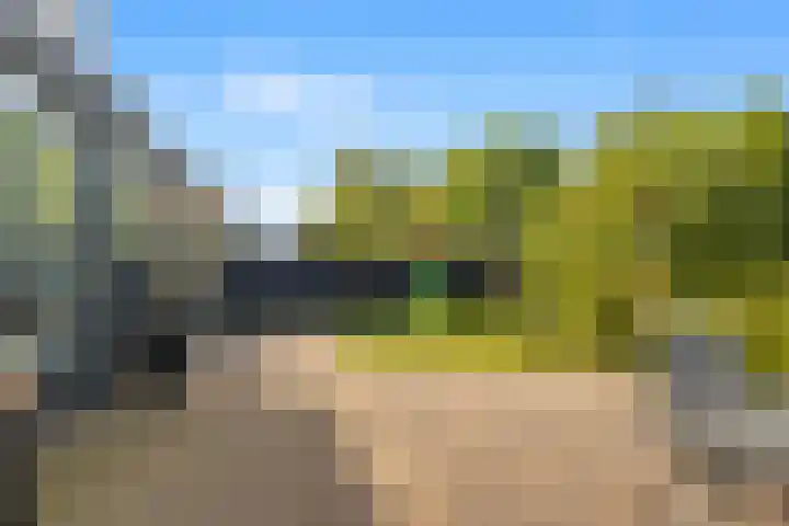 Roelat 46 Limmen thumbnail 40