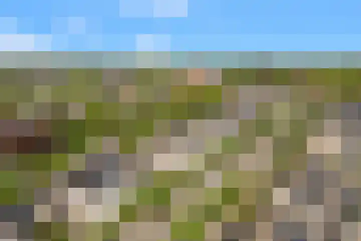 Roelat 46 Limmen thumbnail 42