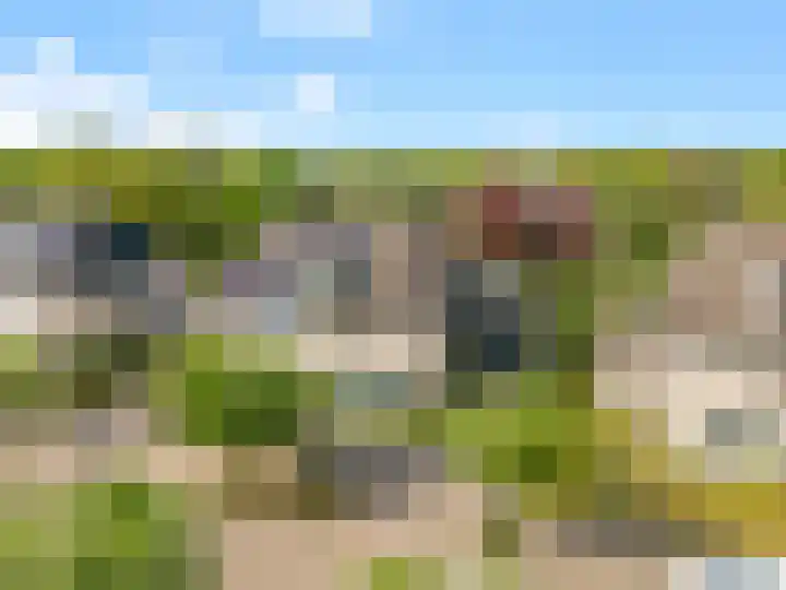 Roelat 46 Limmen thumbnail 49