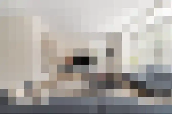 Roelat 46 Limmen thumbnail 6