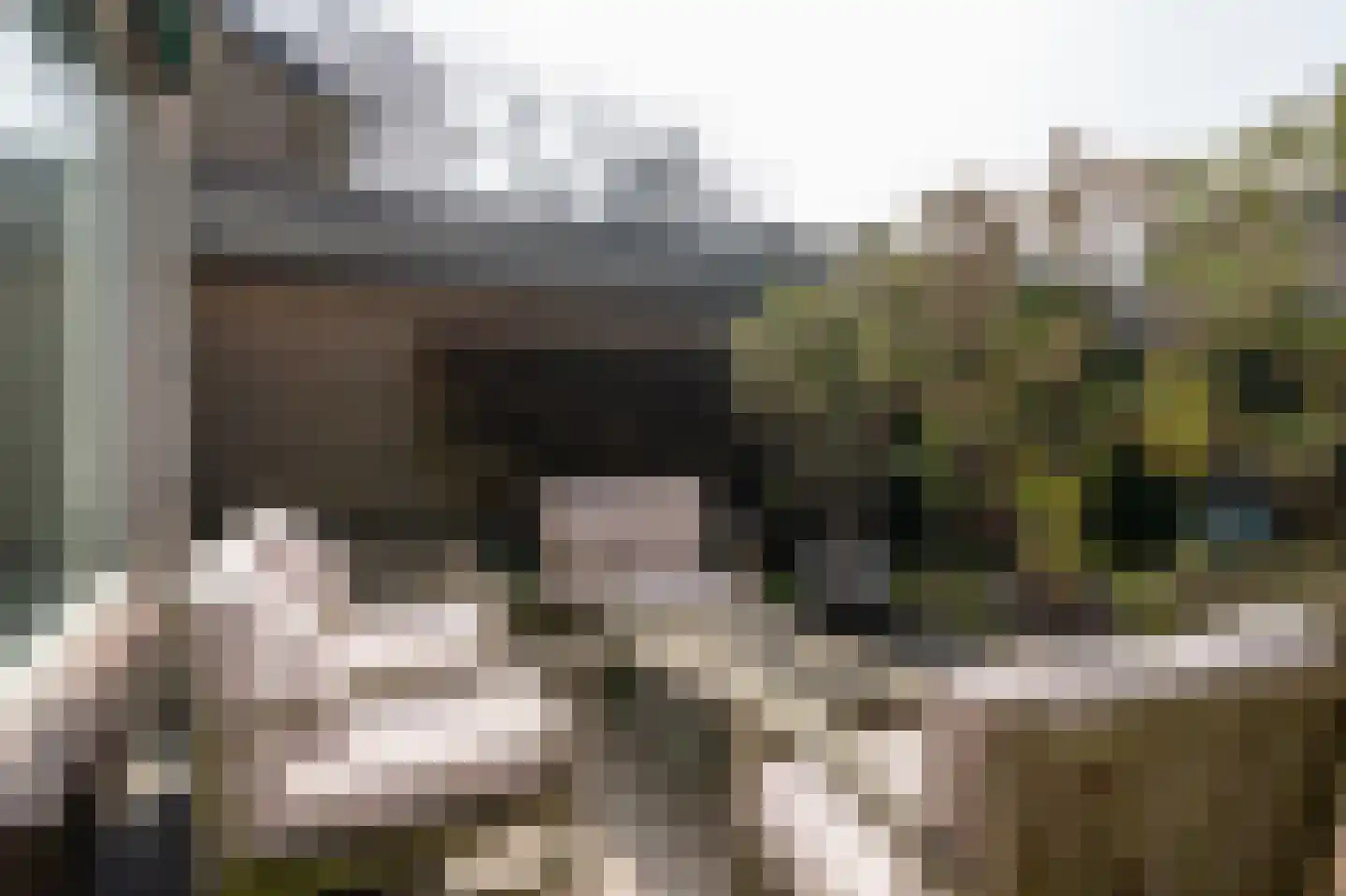 Roelenengweg 150 Voorthuizen thumbnail 30
