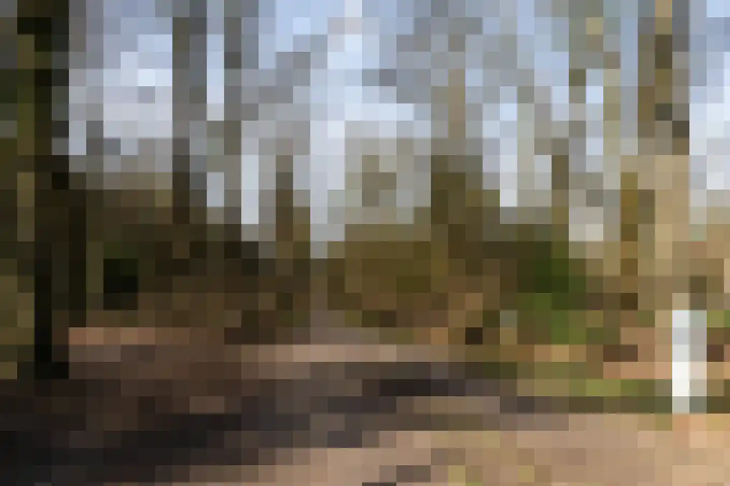 Roelenengweg 150 Voorthuizen thumbnail 49
