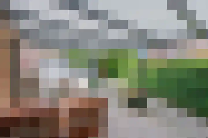Roelenengweg 5 Voorthuizen thumbnail 11