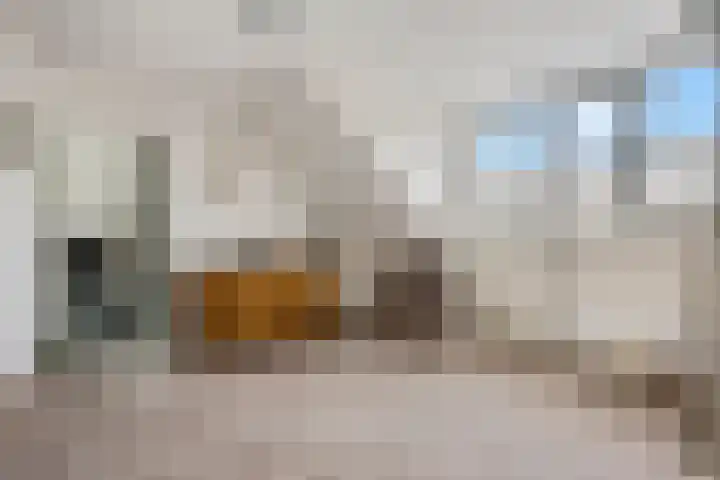 Roelenengweg 5 Voorthuizen thumbnail 34