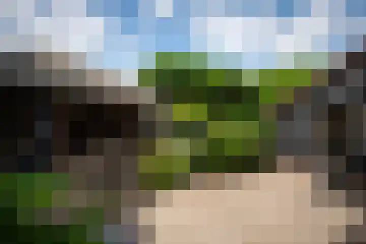 Roelenengweg 82 Voorthuizen thumbnail 36