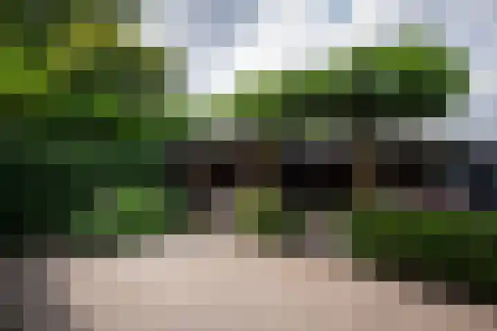 Roelenengweg 82 Voorthuizen thumbnail 37