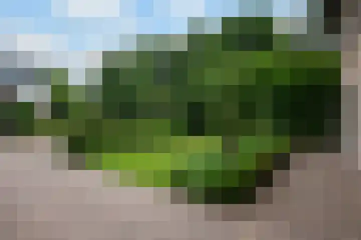Roelenengweg 82 Voorthuizen thumbnail 43