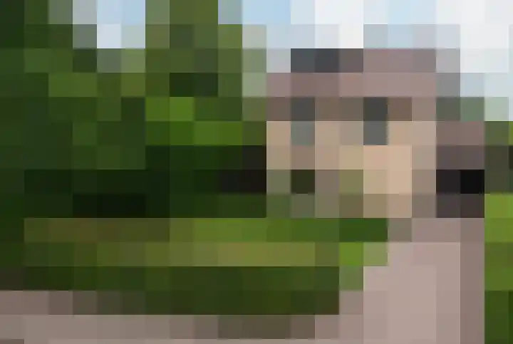 Roelenengweg 82 Voorthuizen thumbnail 44