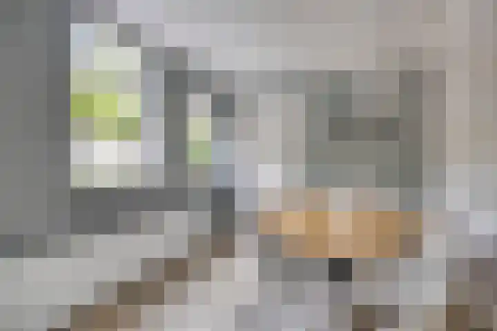 Roelf Bosmastraat 105 Rijssen thumbnail 20