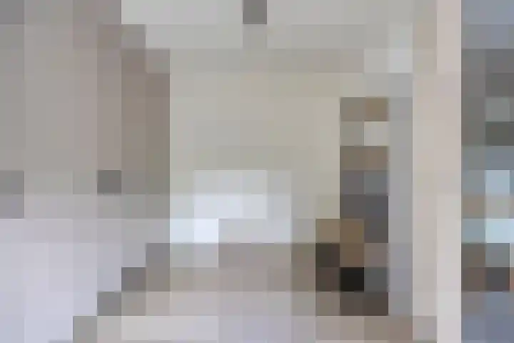 Roelf Bosmastraat 105 Rijssen thumbnail 22