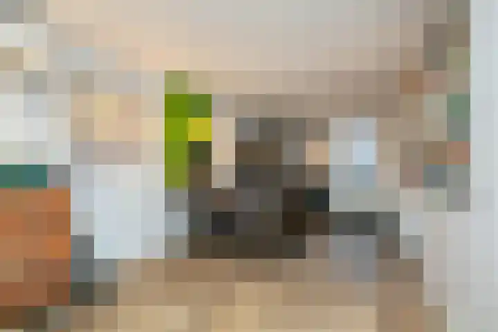 Roelf Bosmastraat 105 Rijssen thumbnail 36