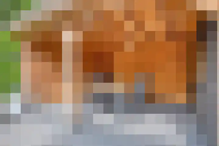 Roelf Bosmastraat 105 Rijssen thumbnail 37