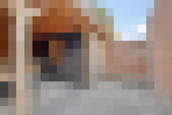 Roelf Bosmastraat 105 Rijssen thumbnail 38