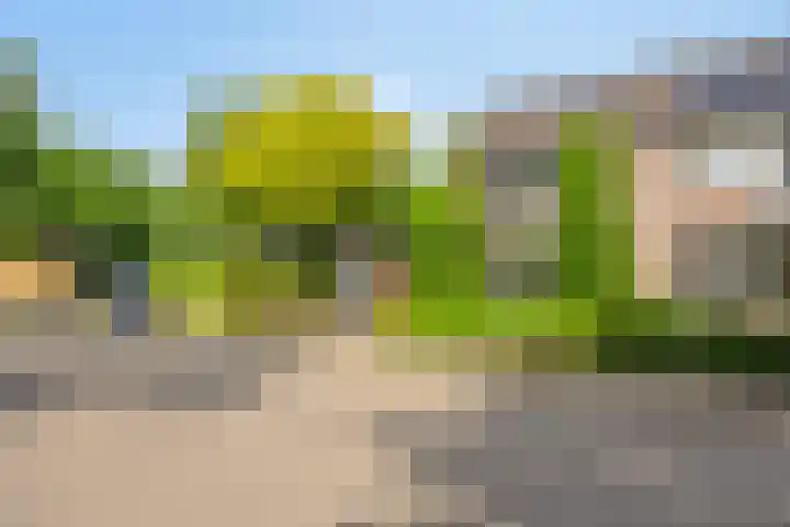 Roelf Bosmastraat 105 Rijssen thumbnail 41