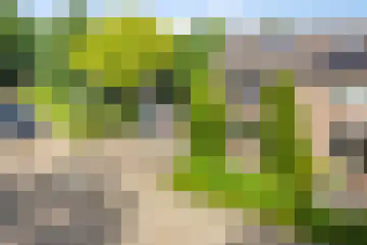 Roelf Bosmastraat 105 Rijssen thumbnail 6
