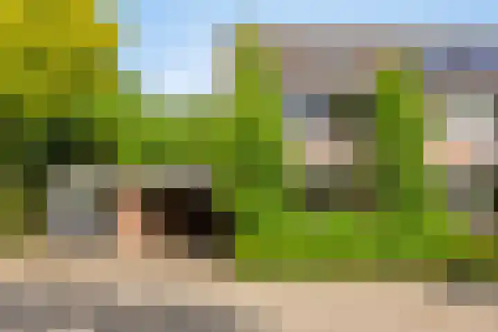 Roelf Bosmastraat 105 Rijssen thumbnail 7