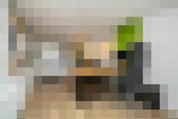 Roelf Bosmastraat 105 Rijssen thumbnail 8