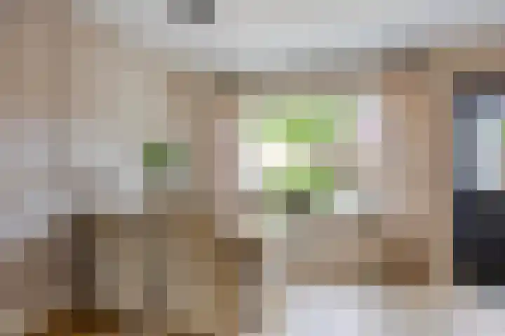 Roelf Bosmastraat 132 Rijssen thumbnail 12