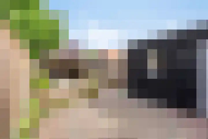 Roelf Bosmastraat 132 Rijssen thumbnail 30