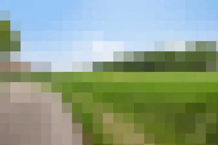 Roelf Bosmastraat 132 Rijssen thumbnail 38
