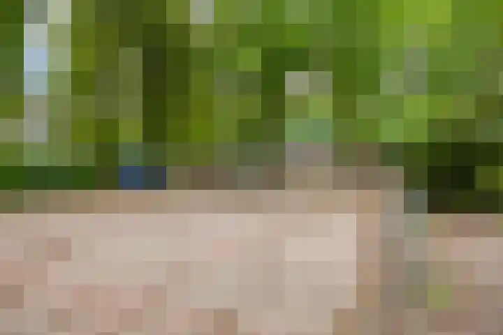 Roelf Bosmastraat 132 Rijssen thumbnail 40