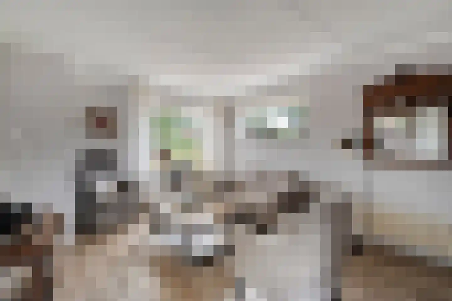 Roelf Bosmastraat 138 Rijssen thumbnail 13