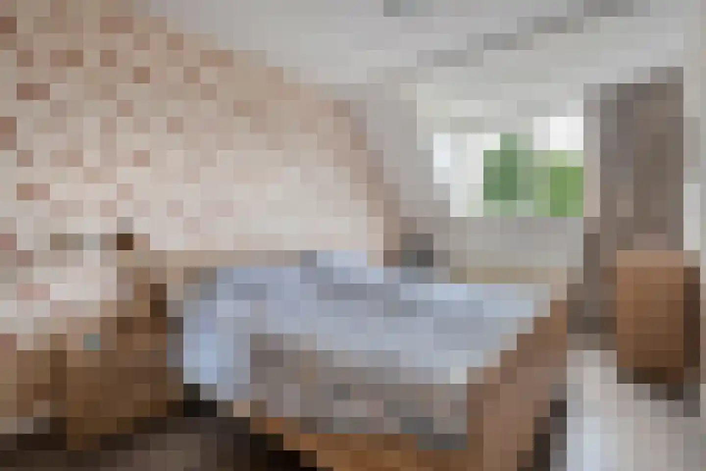 Roelf Bosmastraat 138 Rijssen thumbnail 23