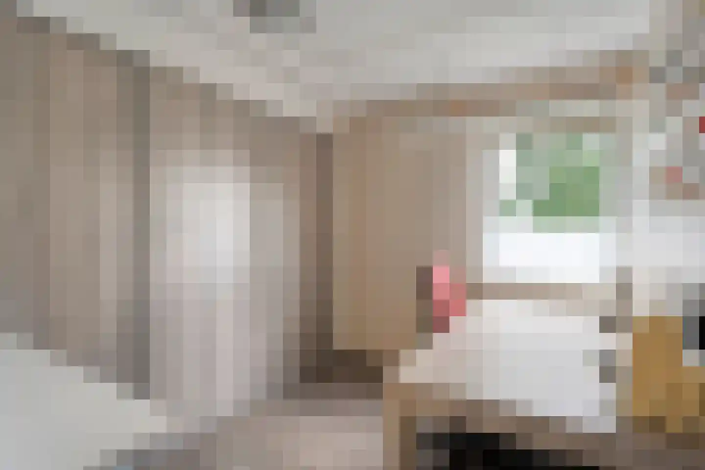 Roelf Bosmastraat 138 Rijssen thumbnail 25