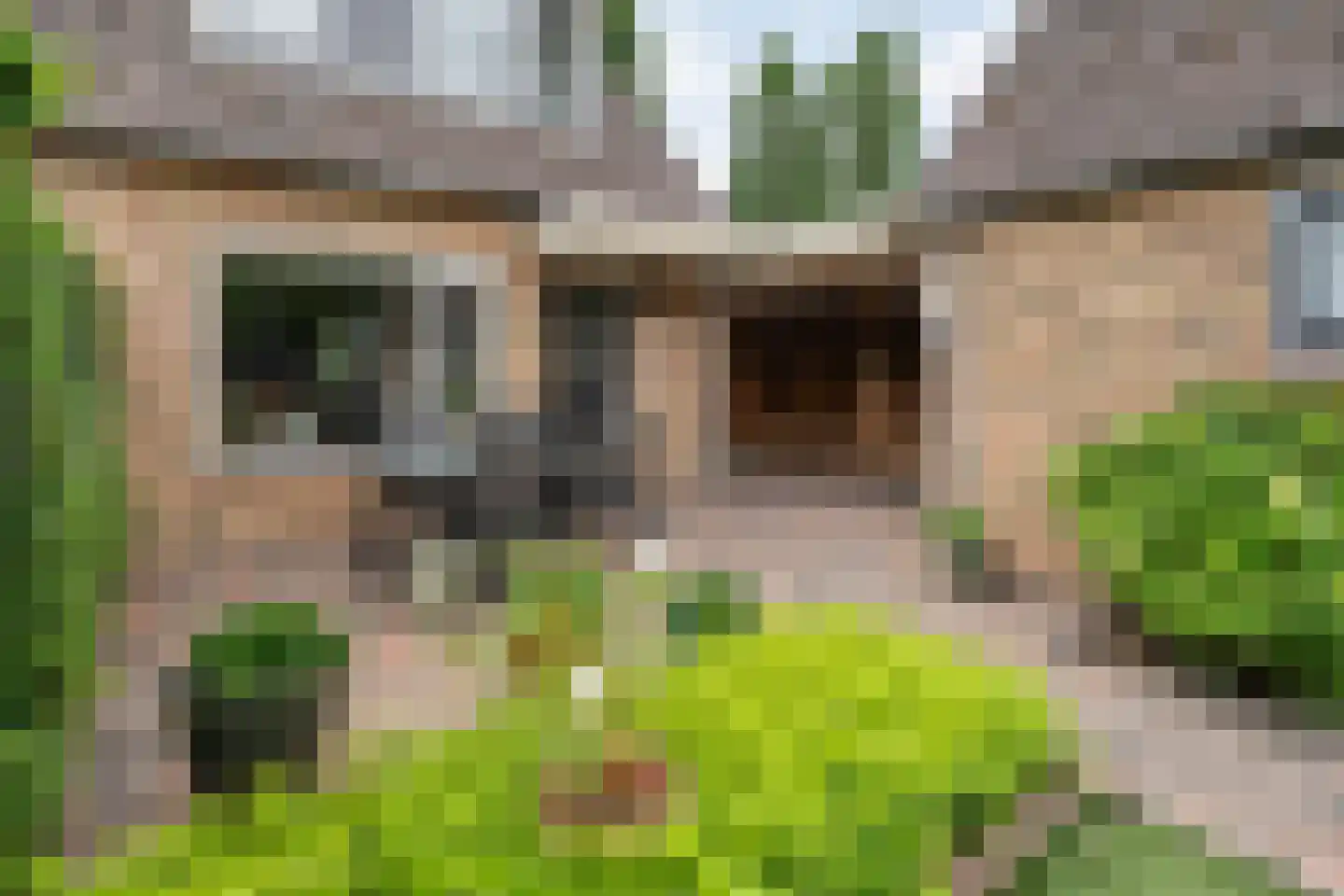 Roelf Bosmastraat 138 Rijssen thumbnail 38