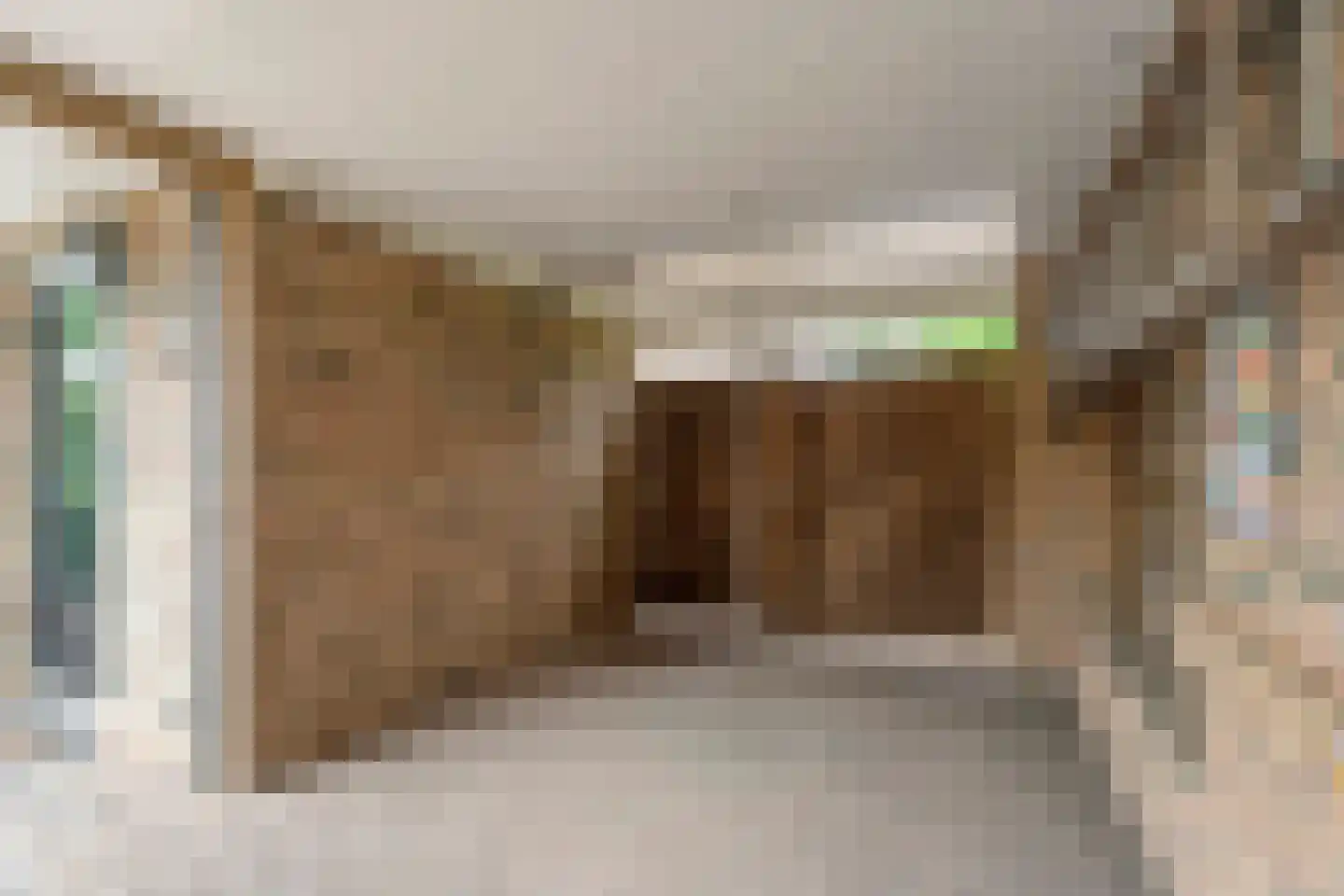 Roelf Bosmastraat 138 Rijssen thumbnail 40
