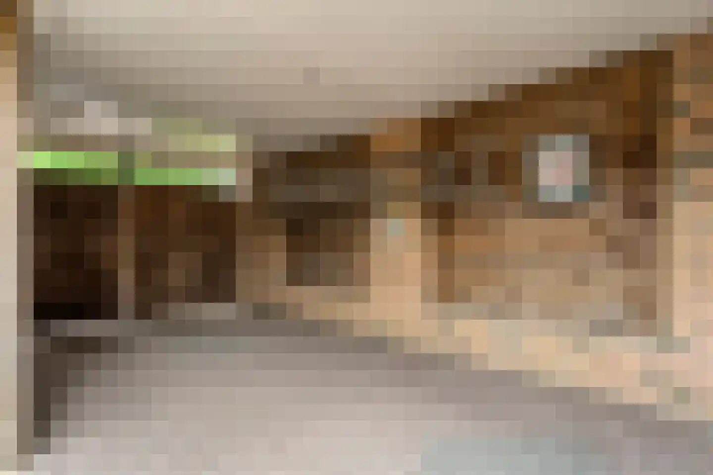 Roelf Bosmastraat 138 Rijssen thumbnail 41