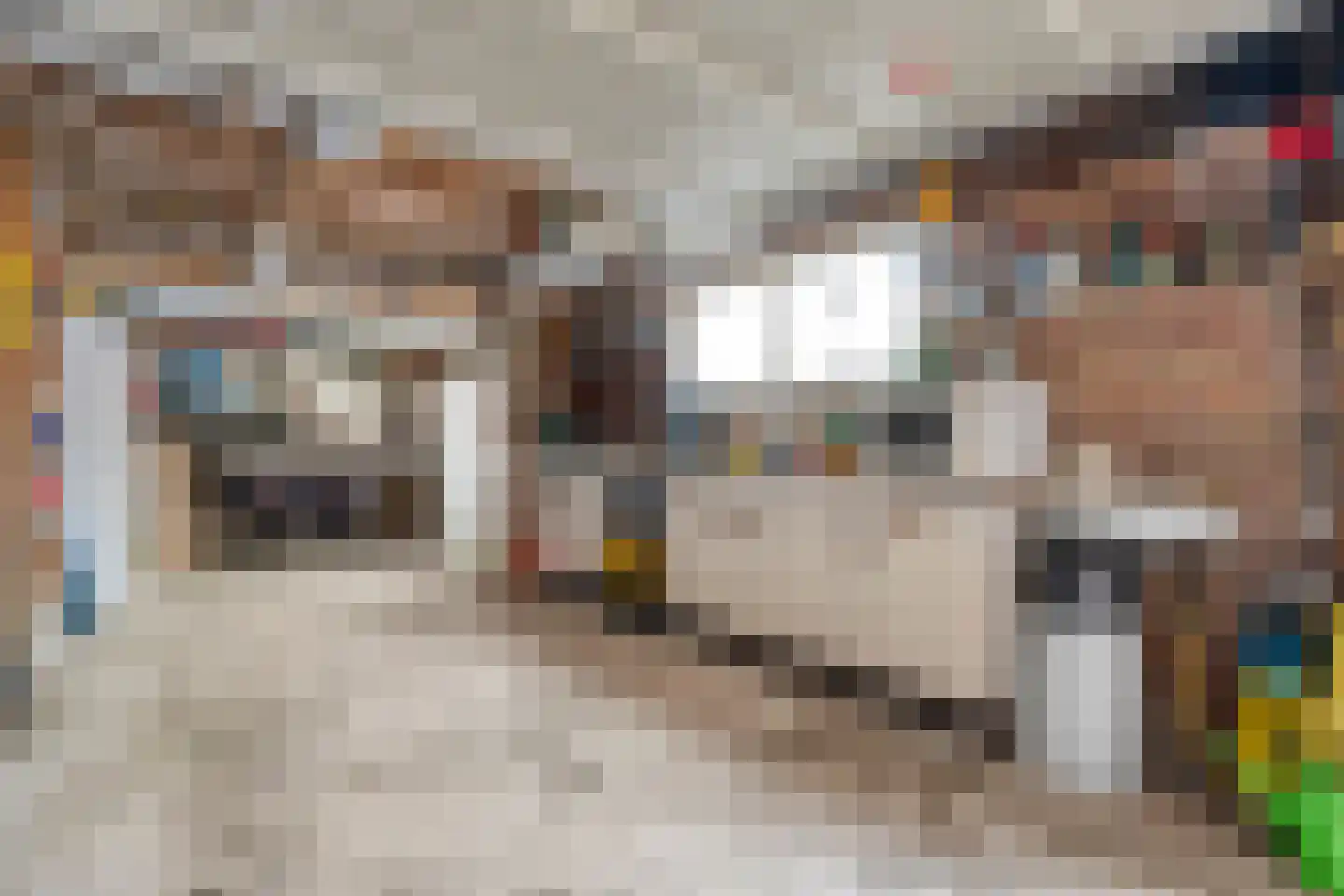 Roelf Bosmastraat 138 Rijssen thumbnail 42