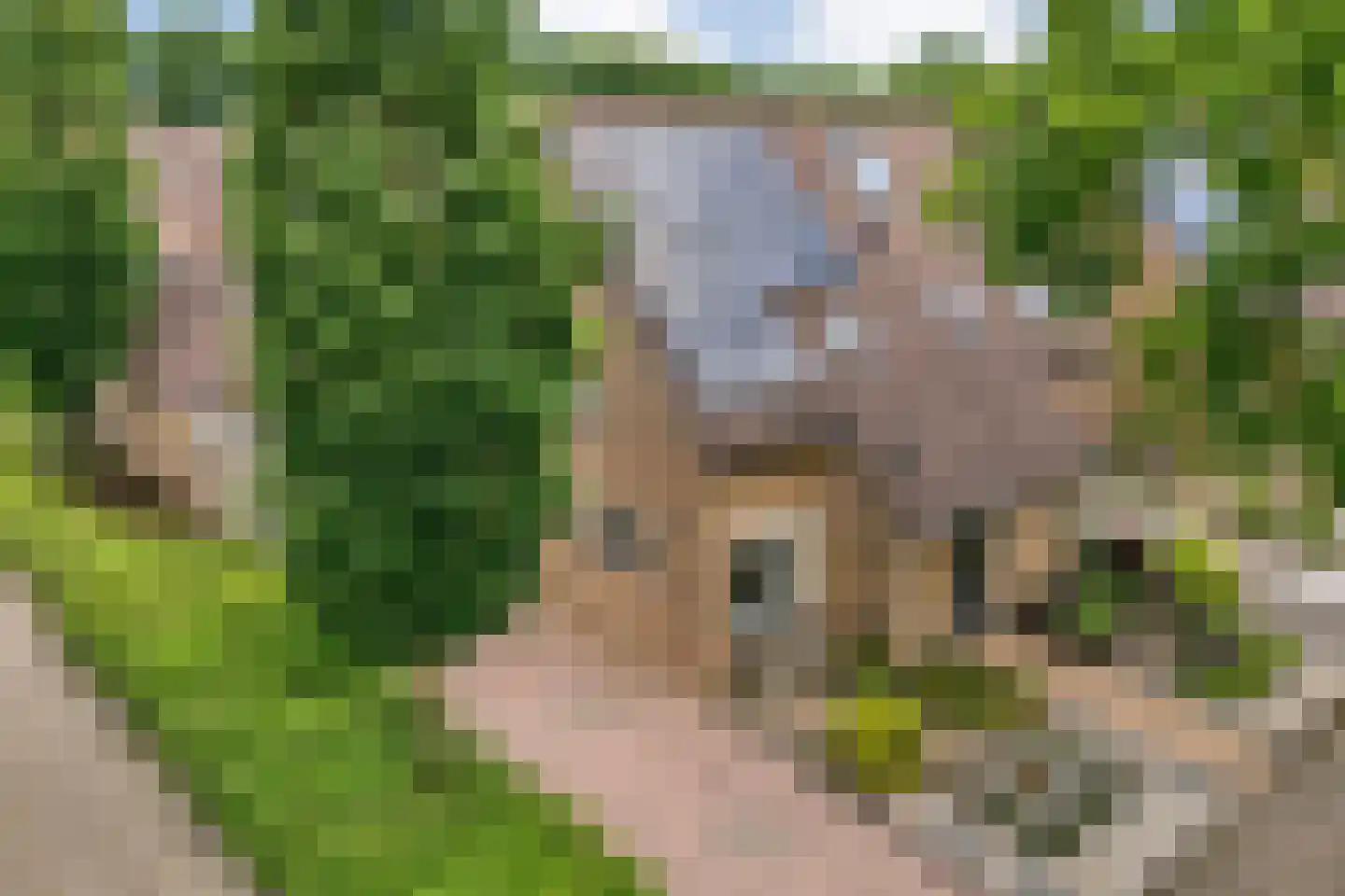 Roelf Bosmastraat 138 Rijssen thumbnail 44