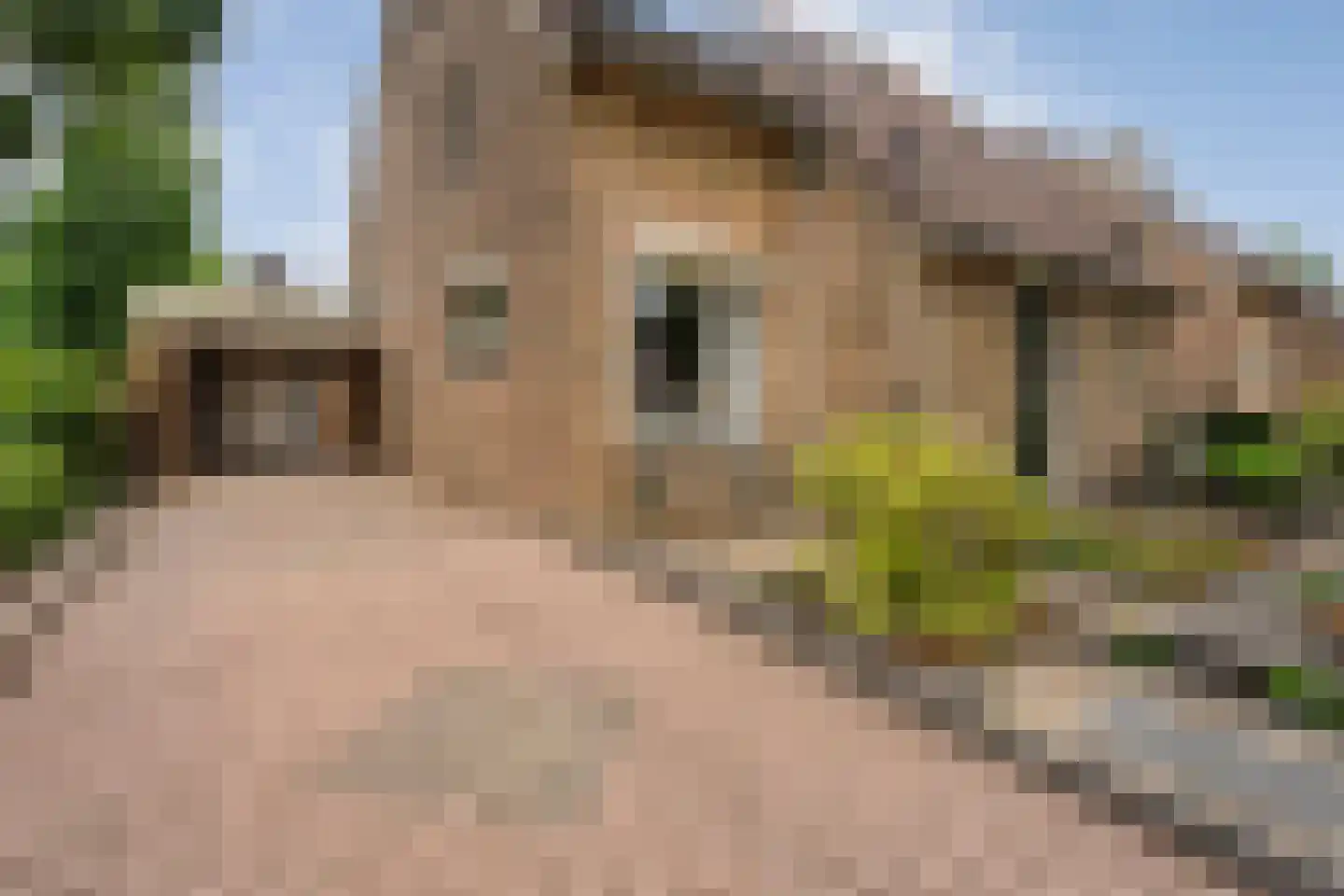 Roelf Bosmastraat 138 Rijssen thumbnail 7