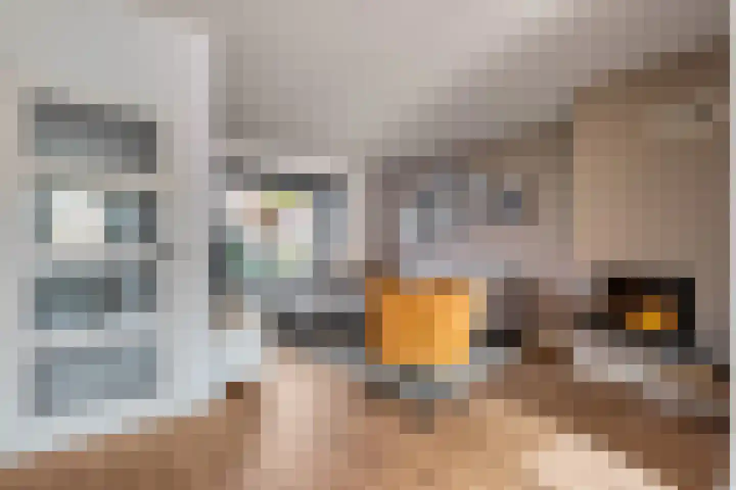 Roelf Bosmastraat 211 Rijssen thumbnail 12