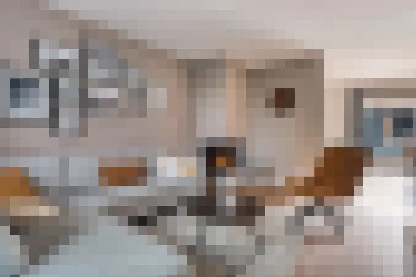 Roelf Bosmastraat 211 Rijssen thumbnail 13