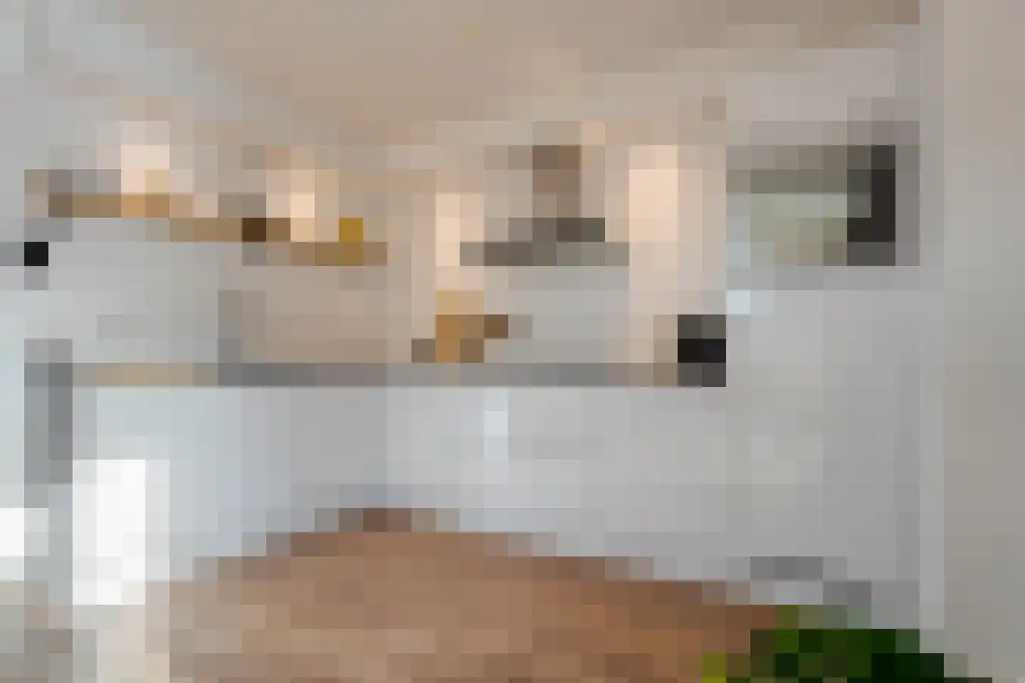 Roelf Bosmastraat 211 Rijssen thumbnail 19