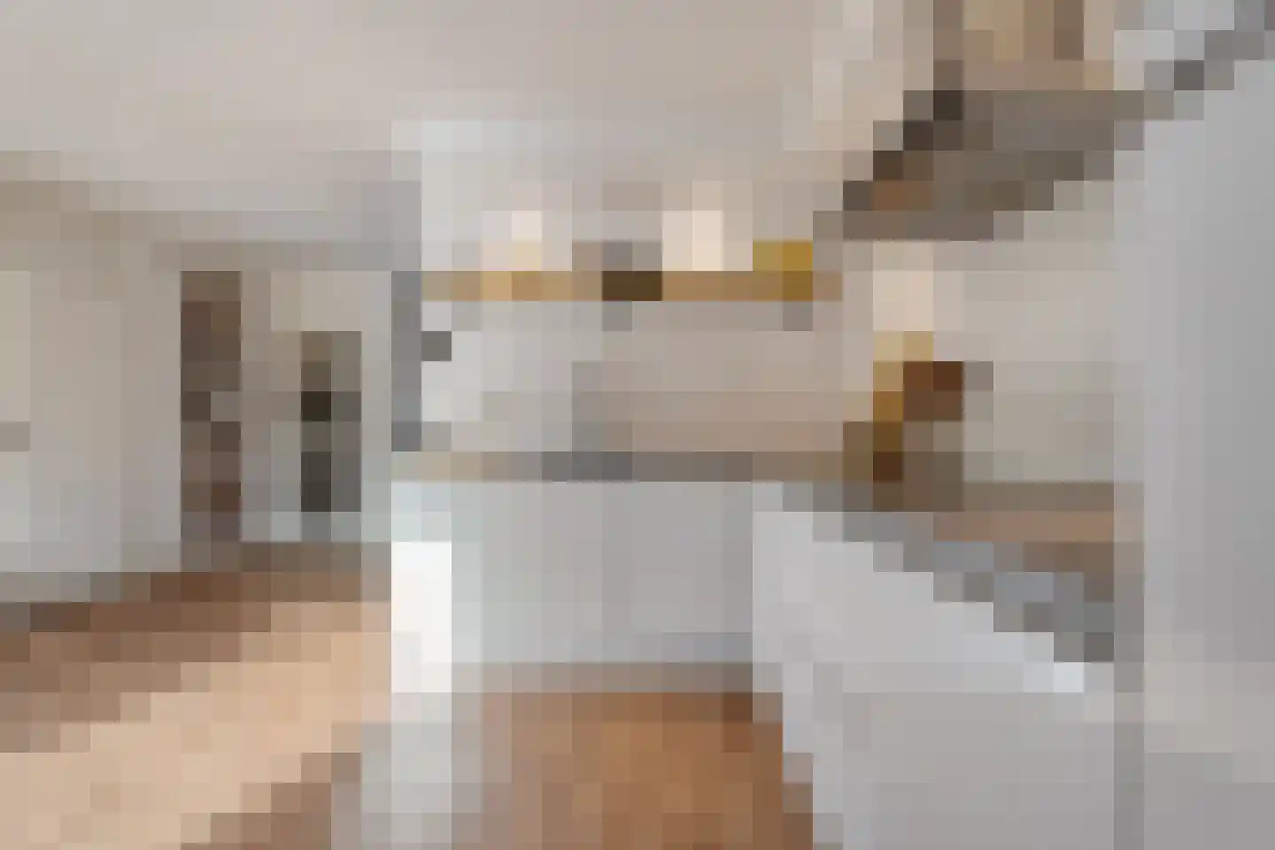 Roelf Bosmastraat 211 Rijssen thumbnail 23