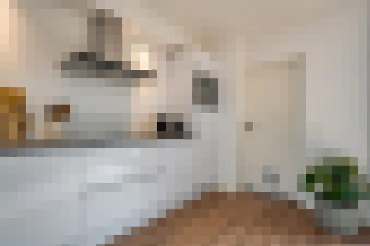 Roelf Bosmastraat 211 Rijssen thumbnail 24