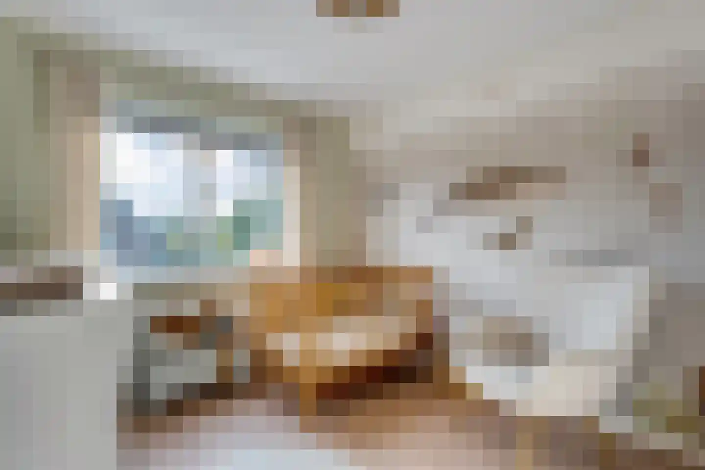 Roelf Bosmastraat 211 Rijssen thumbnail 30