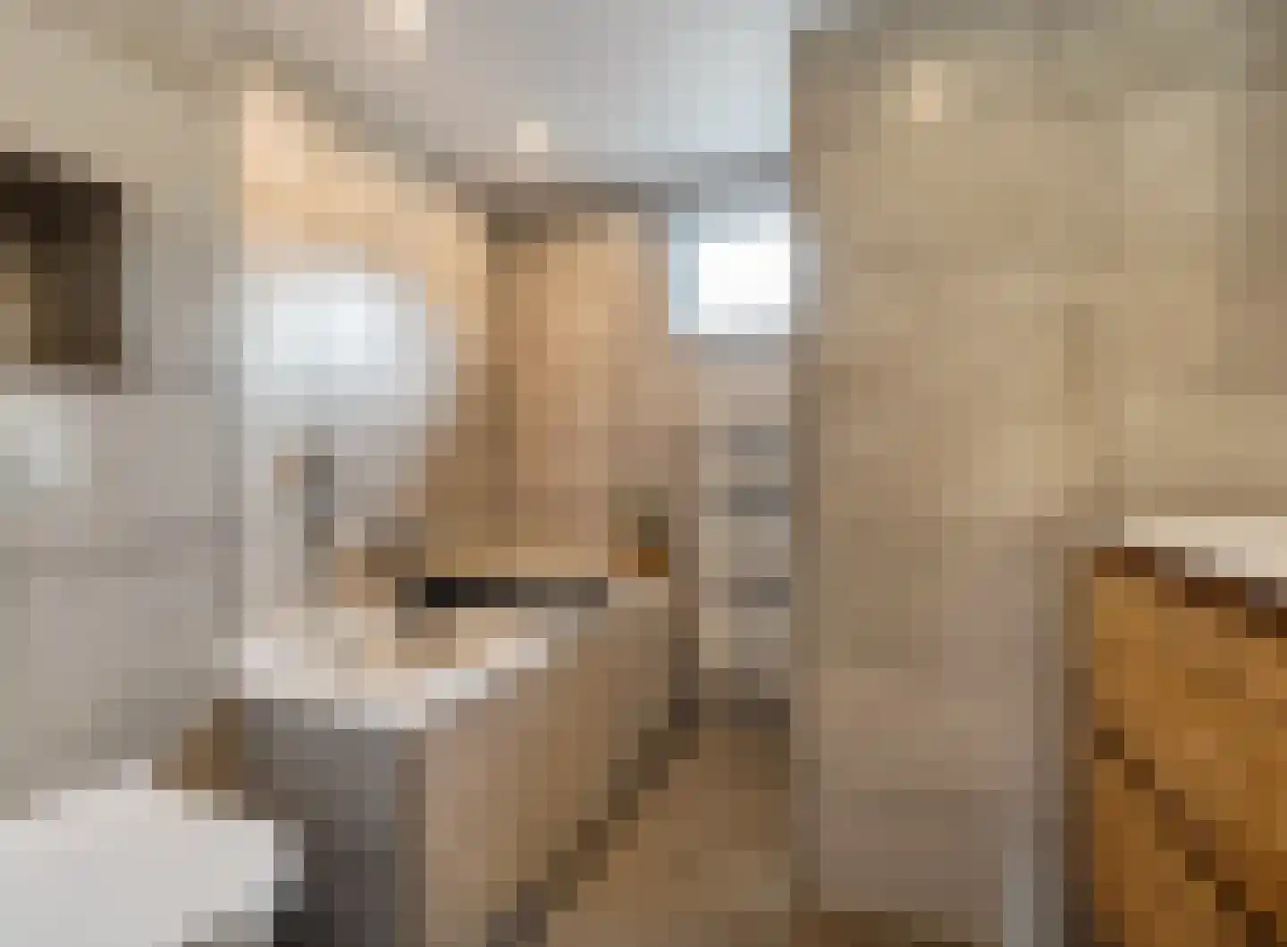 Roelf Bosmastraat 211 Rijssen thumbnail 36
