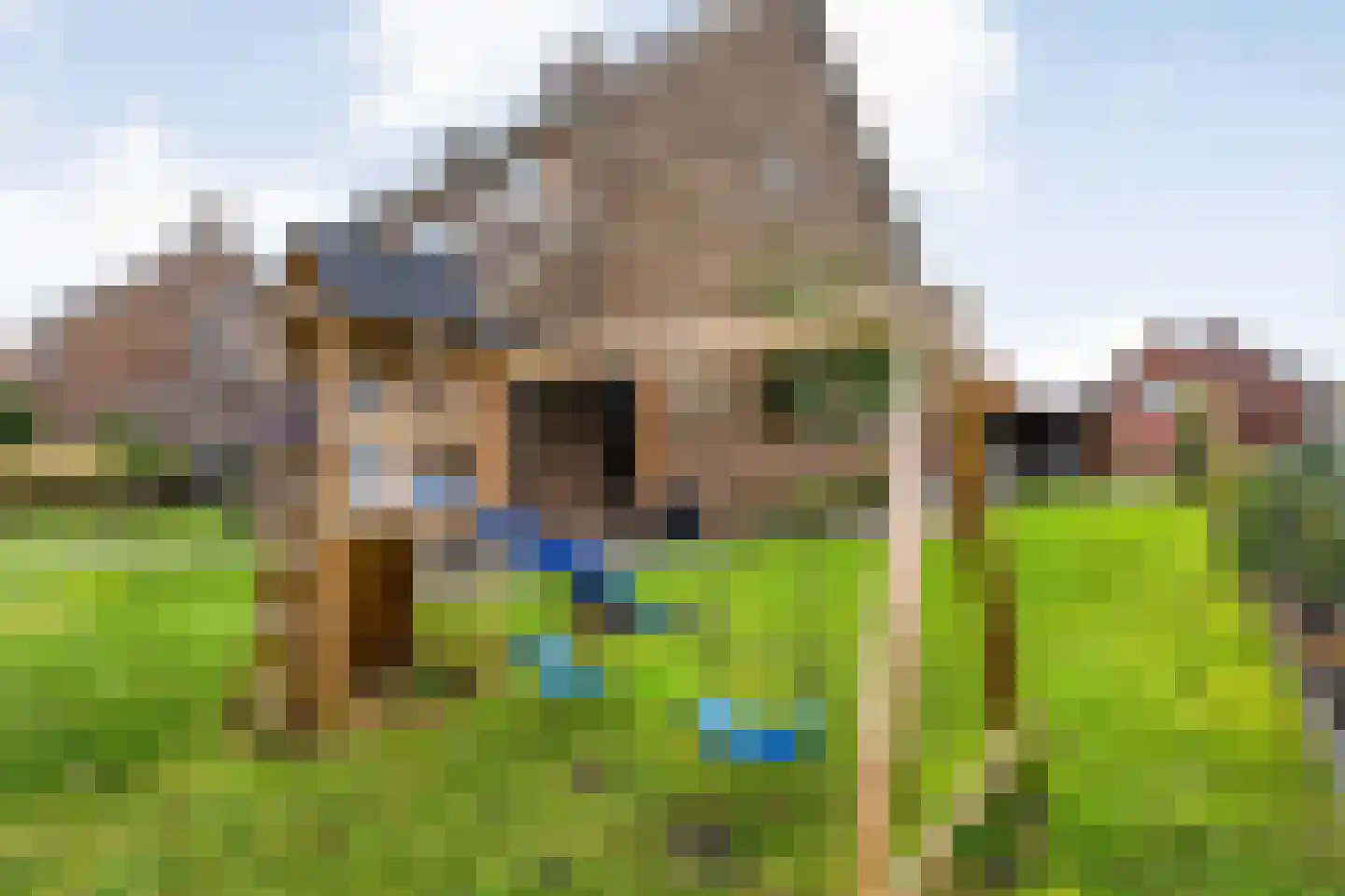 Roelf Bosmastraat 211 Rijssen thumbnail 41