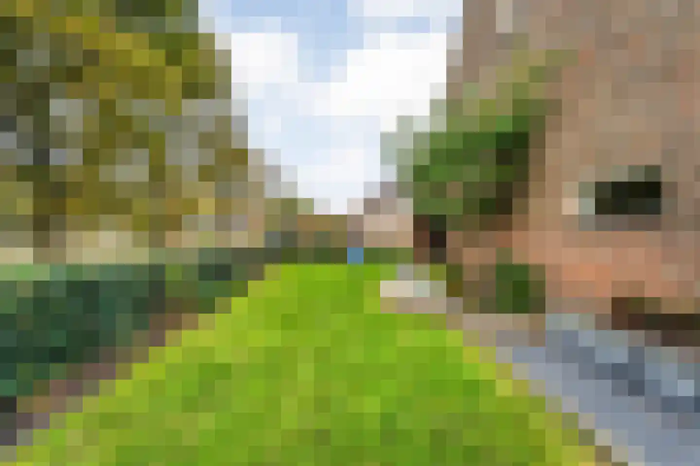 Roelf Bosmastraat 211 Rijssen thumbnail 43