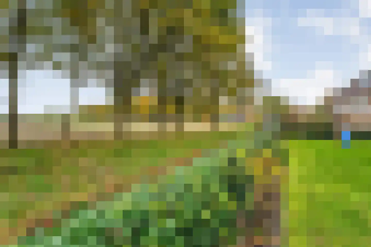 Roelf Bosmastraat 211 Rijssen thumbnail 44