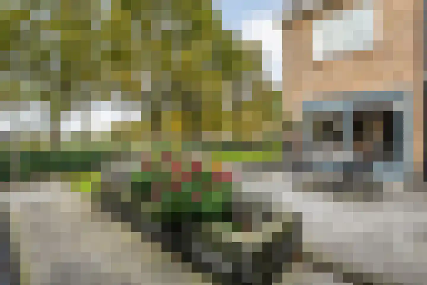 Roelf Bosmastraat 211 Rijssen thumbnail 48